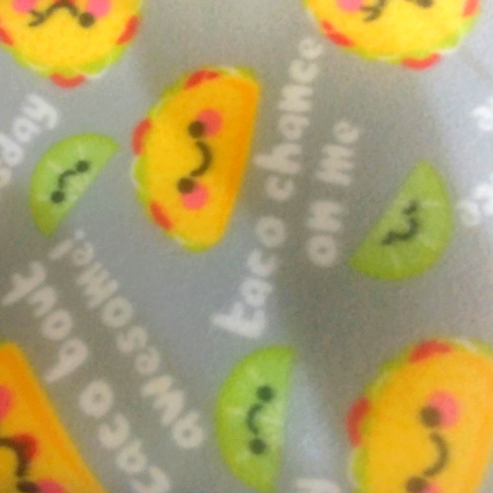 (2) Yards of Yummy Taco-Tastic Fleece Fabric 🌮 🌮 🌮😊